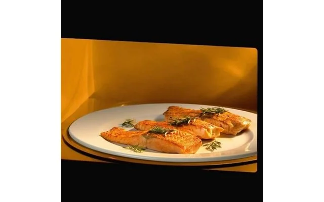 Waeco Dometic OG 2000 Einbaugasofen Mit Grill Und Drehteller 20 Liter – Bild 2